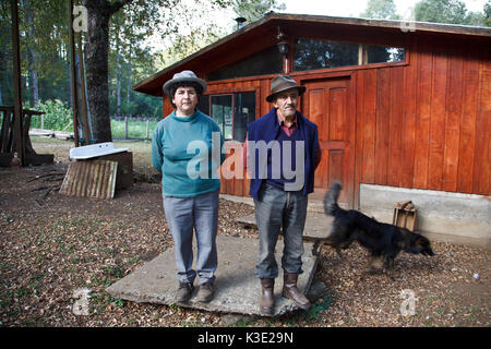 Le Chili, Santiago, Araucania, les Mapuche, le commerce équitable, le bois, les petits propriétaires forestiers, Banque D'Images