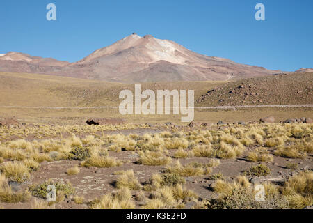 Le Chili, le Nord, les hautes terres andines, volcan, Banque D'Images