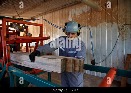 Le Chili, Santiago, Araucania, les Mapuche, commerce équitable, bois, moulin à scie, Carpenter, a vu, Banque D'Images