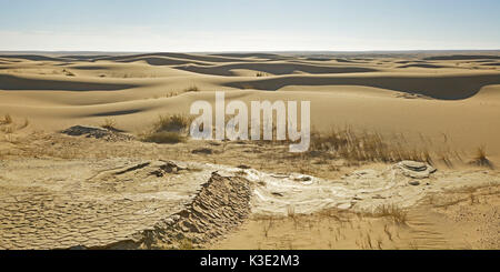 L'Afrique, la Namibie, la région d'Erongo, Namib Naukluft park, Rooibank, Walvis Bay, plage de la bouche de la rivière Kuiseb, dunes, photo panoramique, Banque D'Images