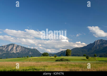 Vue depuis Großweil sur Jochberg et Italia, Upper Bavaria, Bavaria, Germany Banque D'Images