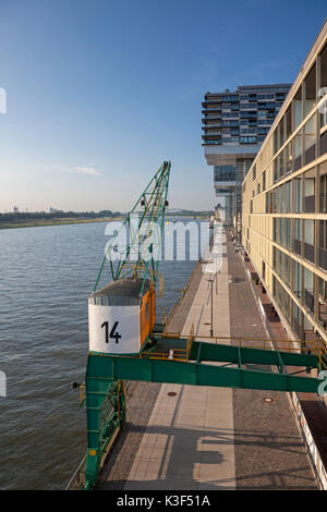 Moteur de chargement en face de la grue maisons dans le port de Rheinau (Rheinauhafen), Cologne, Rhénanie du Nord-Westphalie, Allemagne Banque D'Images