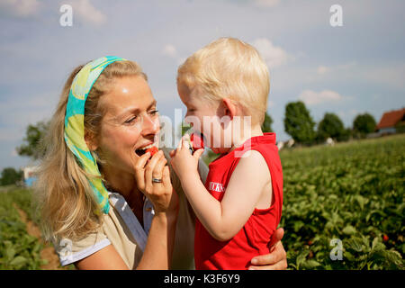 La mère et le fils de fraise manger Banque D'Images