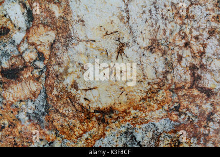 Brown marble texture background scan haute résolution Banque D'Images