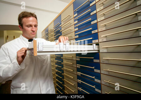 Recherches chimiste chimiste en drogue placard Banque D'Images
