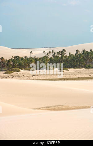 Désert de sable en Amérique du Brésil Jericoacoara fermer Banque D'Images