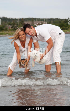 Couple heureux en vêtements blancs occasionnels tenant deux petits chiens au-dessus de l'eau, de leur apprendre à nager. Banque D'Images