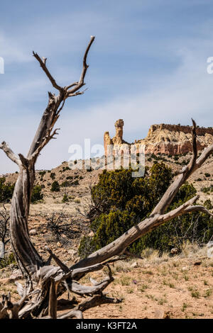 Le Chimney Rock vu à travers les branches d'arbres séchées à ghost ranch, abiquiu, New Mexico, USA Banque D'Images