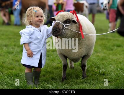 Dorchester, Dorset, UK. 09Th Sep 2017. Béatrice Wilkins s'occupe de ses moutons pendant la Grande Parade Crédit : Finnbarr Webster/Alamy Live News Banque D'Images