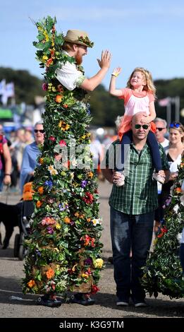 Dorchester, Dorset, UK. 09Th Sep 2017. Vraiment élevé cinq de Mr & Mme Flora : Crédit Finnbarr Webster/Alamy Live News Banque D'Images