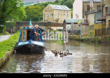 Un homme nourrir les canards sur le canal de Rochdale, West Yorkshire, Angleterre Banque D'Images