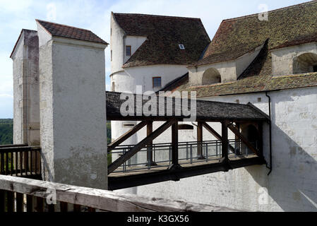 Château Wildenstein au bord du Danube Banque D'Images