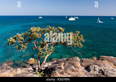 Watsons Bay Lizard Island, Grande Barrière de Corail, Australie Banque D'Images