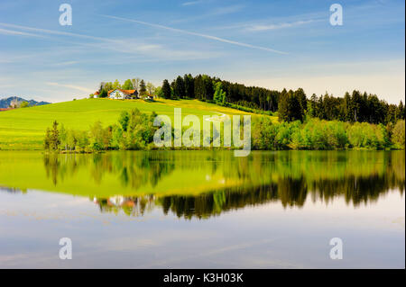 Paysage panoramique dans l'Allgäu fermer Schwaltenweiher, à l'ouest de Seeg Banque D'Images