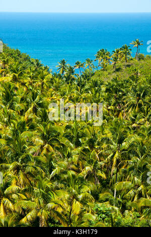 La péninsule de Samana, République dominicaine, vue de l'affût au boulevard Turistico del Atlantico sur la côte nord à proximité Las Terrenas Banque D'Images