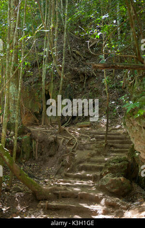 La péninsule de Samana, République dominicaine, moyen de la cascade cuillerée Limon Banque D'Images