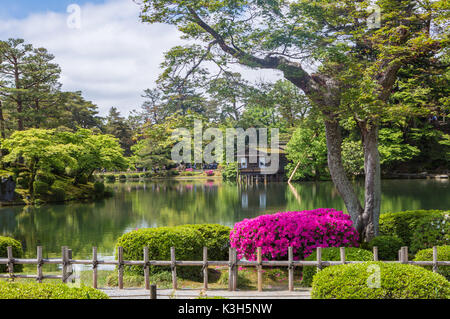 Le Japon, la ville de Kanazawa, Jardin Kenroku-en Banque D'Images