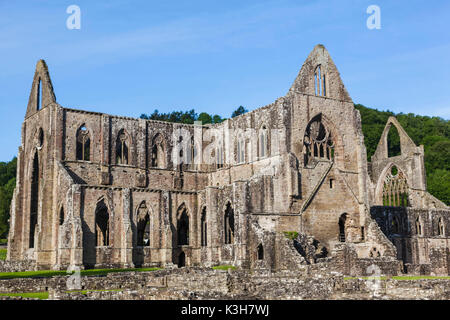 Pays de Galles, Monmouthshire, Abbaye de Tintern Banque D'Images