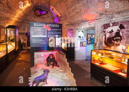 L'Angleterre, l'East Sussex, Hastings, le crime véritable musée, vue intérieure Banque D'Images