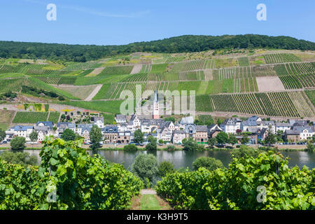 Allemagne, Rhénanie-Palatinat, Moselle, Zell Banque D'Images