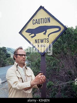 EBRP, biologiste, Chris Nelson est titulaire d'un ver en face d'un "Attention, les Tritons xing' signe de la circulation, en 1975, en Californie Banque D'Images