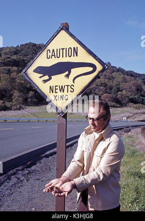 EBRP, biologiste, Chris Nelson est titulaire d'un ver en face d'un "Attention, les Tritons xing' signe de la circulation, en 1975, en Californie Banque D'Images