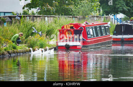 Nourrir les canards et oies sur le canal de Rochdale, West Yorkshire, Angleterre Banque D'Images