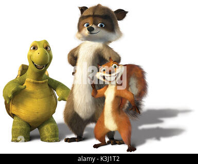 Sur la photo : de gauche ? Verne la tortue, et le raton laveur RJ Hammy l'écureuil de DreamWorks Animation à l'ordinateur de comédie animée par-dessus la haie. OVER THE HEDGE [2006] Verne la tortue, et le raton laveur RJ Hammy l'Écureuil Date : 2006 Banque D'Images