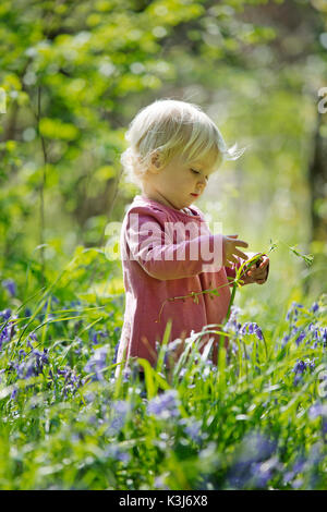 Jeune fille dans un bois bluebell dans le Devon, Angleterre Royaume-uni Banque D'Images