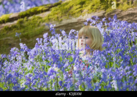 Jeune fille dans un bois bluebell dans le Devon, Angleterre Royaume-uni Banque D'Images