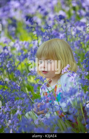 Jeune fille dans un bois bluebell dans le Devon, Angleterre Royaume-uni Banque D'Images