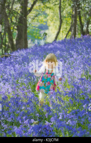 Jeune fille dans un bois bluebell dans le Devon, Angleterre Royaume-uni Banque D'Images