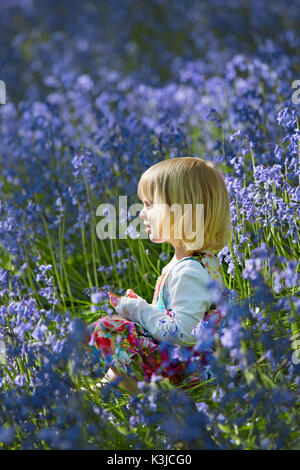 Jeune fille dans un bois bluebell dans le Devon, Angleterre Royaume-uni Banque D'Images