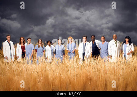 Grey's Anatomy [2005- ] Eric Dane que Mark Sloan, Kate Walsh comme Addison Shepherd, T.R. Knight comme George O'Malley, Ellen Pompeo que Meredith Grey, Chandra Wilson comme Miranda Bailey, Sandra Oh comme Cristina Yang, Katherine Heigl comme Isobel "Izzie" Stevens, Patrick Dempsey comme Derek Shepherd, Isaiah Washington comme Preston Burke, Justin Chambers, Alex Karev, James Pickens, Jr. comme Richard Webber et Sara Ramirez comme le Dr Callie Torres. GRAY'S ANATOMY Banque D'Images