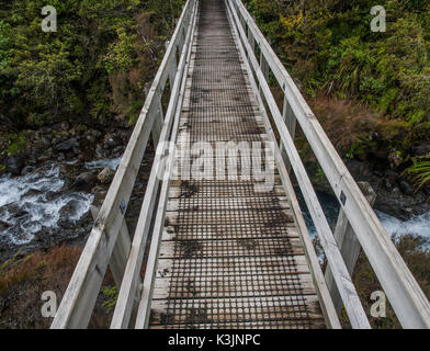 Whakapapanui pied Pont, Ruisseau, Parc National de Tongariro, Nouvelle-Zélande Banque D'Images