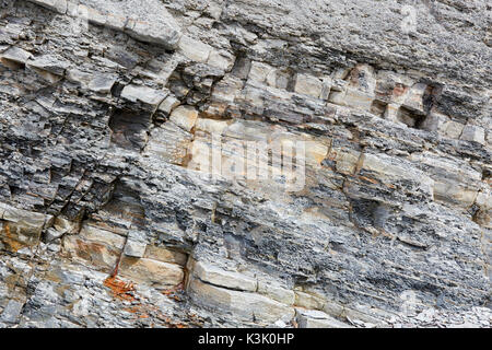 Les couches sédimentaires à falaises fossilifères de Joggins, Nouvelle-Écosse, Canada Banque D'Images