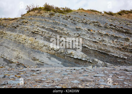 Les couches sédimentaires à falaises fossilifères de Joggins, Nouvelle-Écosse, Canada Banque D'Images