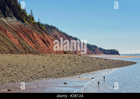 Falaises du parc provincial de Five Islands, baie de Fundy, en Nouvelle-Écosse, Canada Banque D'Images