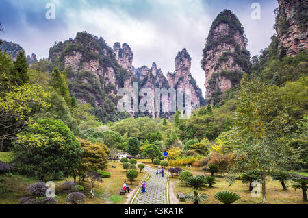La Chine, la province du Hunan, la ville de Zhangjiajie, Zhangjiajie Scenic Park, Wulingyuan Banque D'Images