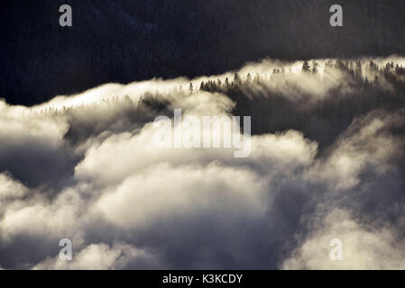 Vue depuis l'Italia sur une mer de nuages et le bois légèrement recouverte de neige bonne soirée avec de l'ombre des arbres près de Wallgau, Bavière. Banque D'Images