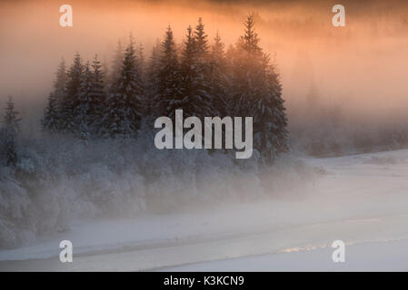 La lumière rouge du soir l'humeur dans la partie supérieure de l'Isar avec quelques sapins couverts de neige et les buissons. Banque D'Images