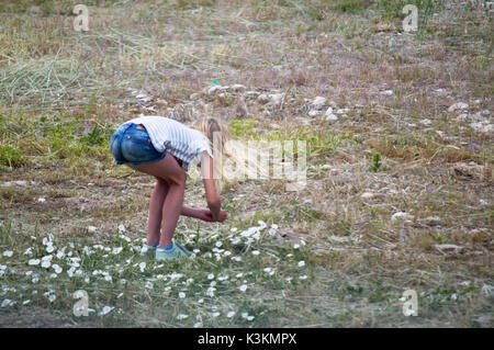 Une petite fille aux cheveux blonds lis sego cueillette sur le terrain. Banque D'Images