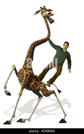 MADAGASCAR : Escape 2 Africa DAVID SCHWIMMER voices Melman la girafe / Date : 2008 Banque D'Images