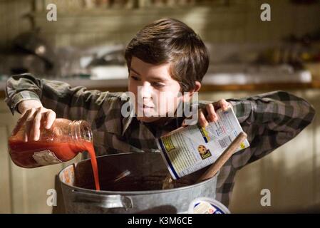 Les Chroniques de Spiderwick Les Chroniques de Spiderwick Freddie Highmore Date : 2008 Banque D'Images