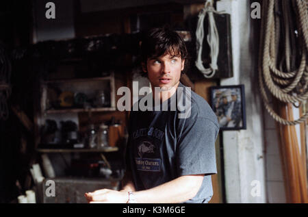 Le Brouillard Le brouillard Tom Welling Date : 2005 Banque D'Images