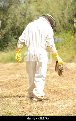 La récolte, miel, ruche, l'apiculteur Banque D'Images