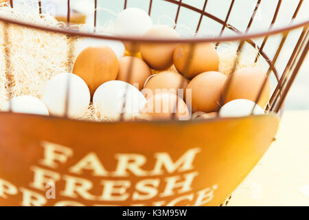 Brown, marché des producteurs d'œufs, œufs Banque D'Images