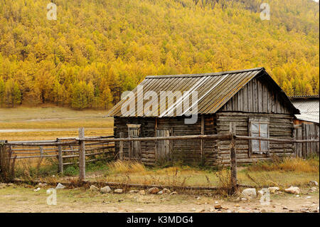 Maisons en bois de Sibérie dans l'île d'Olkhon, Sibérie, Russie. Banque D'Images