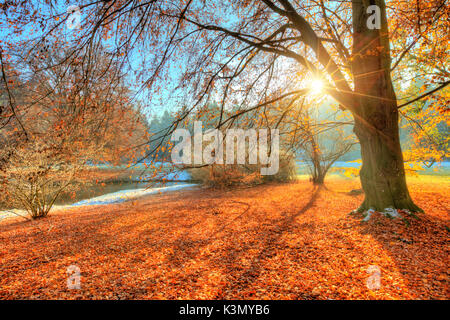 photographie de paysage automne