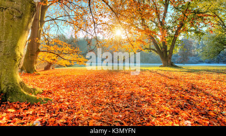 photographie de paysage automne